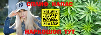 амф Донской