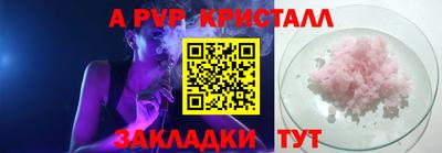 амф Донской