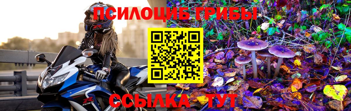 Галлюциногенные грибы Psilocybine cubensis  Вход с VPN  Рязань  Галлюциногенные грибы GOLDEN TEACHER 