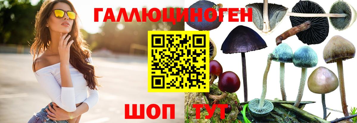Галлюциногенные грибы мицелий Рязань